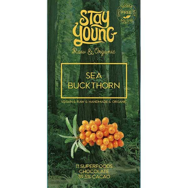 Sugar free raw chocolate with sea buckthorn 44g